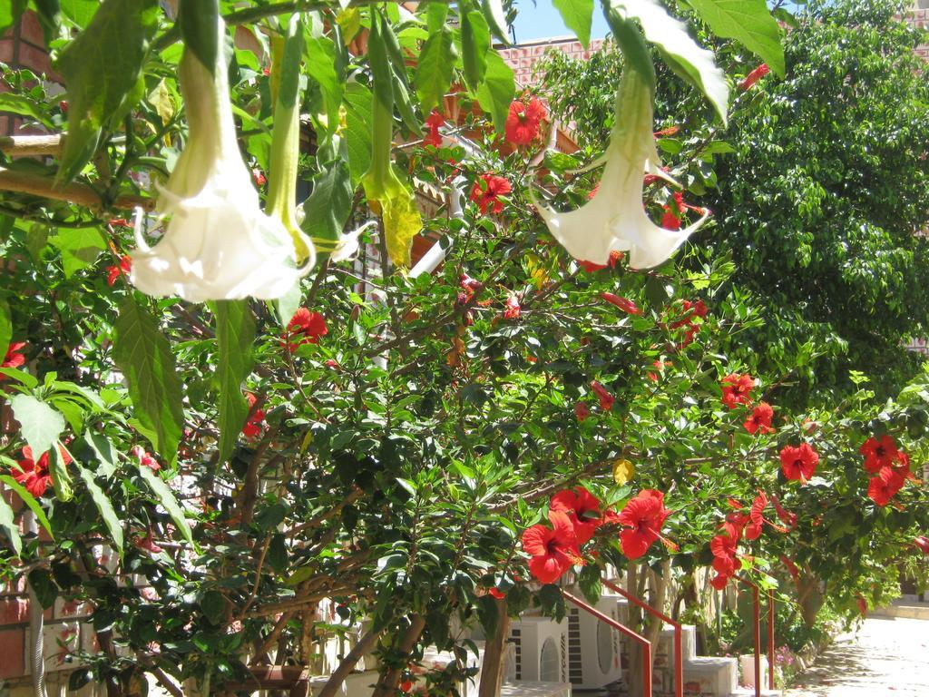 Anfora Apart Pansiyon Erdemli Extérieur photo